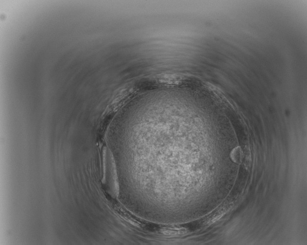 X0000068830707200605121341