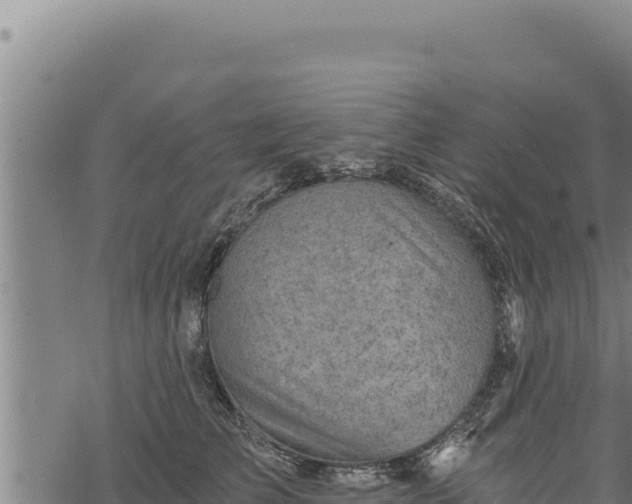 X0000068830709200605121341