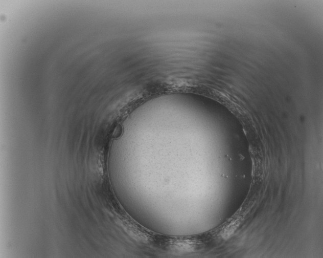 X0000068830710200605121341