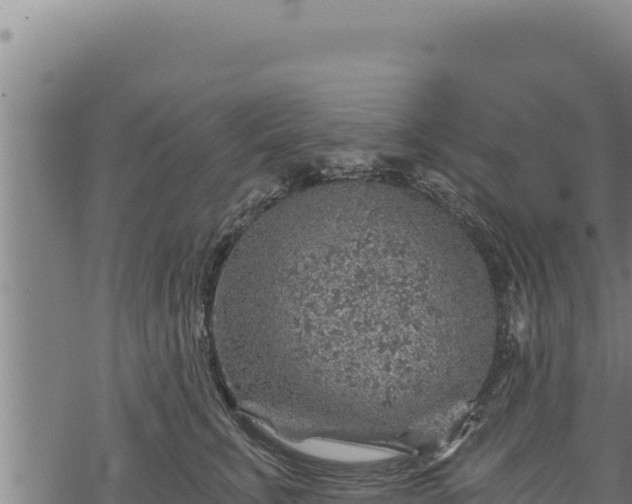 X0000068830711200605121341