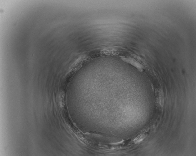 X0000068830712200605121341