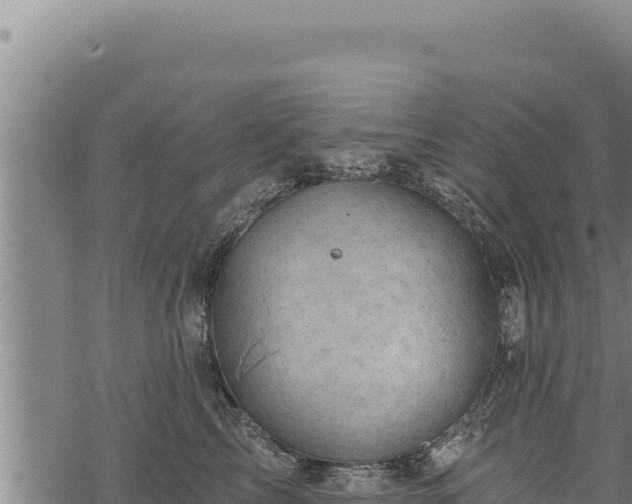 X0000068830713200605121341