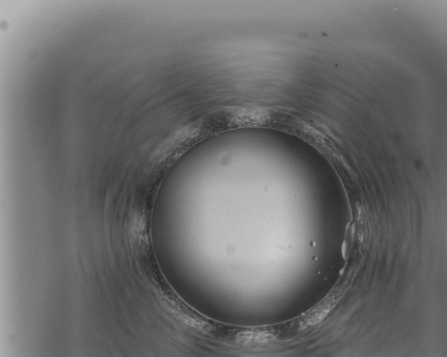 X0000068830714200605121341