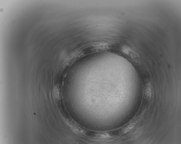 X0000068830715200605121341