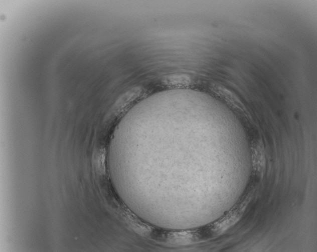 X0000068830717200605121341