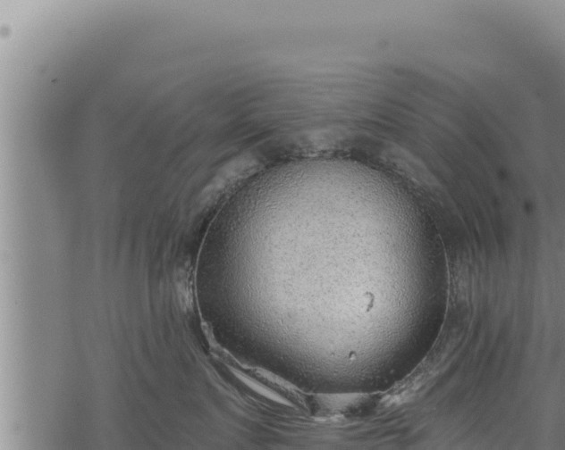 X0000068830719200605121341