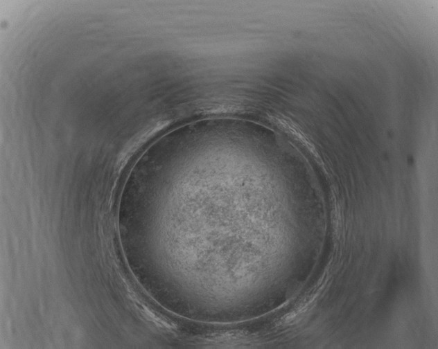 X0000068830721200605121340