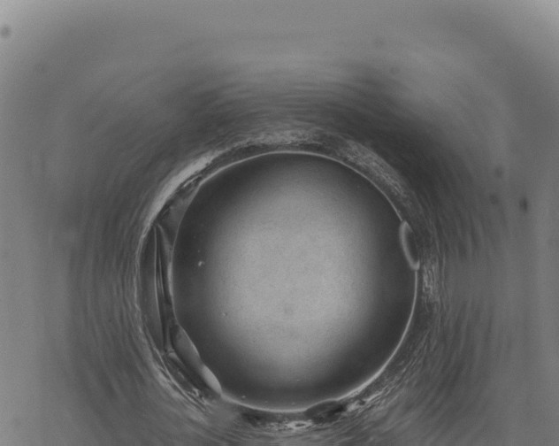 X0000068830724200605121340