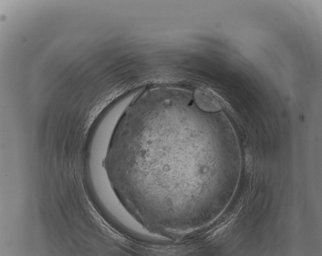 X0000068830725200605121340