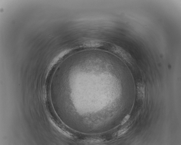 X0000068830726200605121340