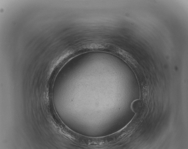 X0000068830727200605121340