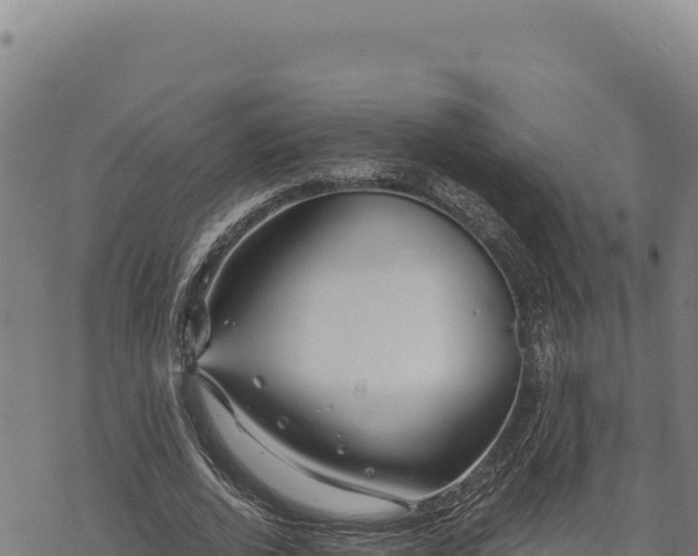 X0000068830728200605121340