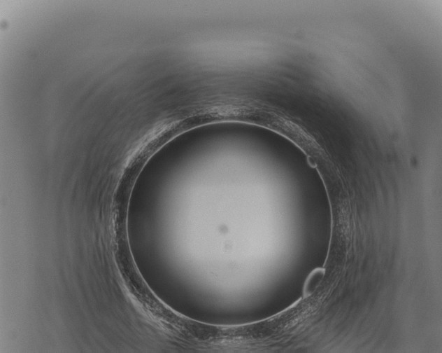 X0000068830730200605121340