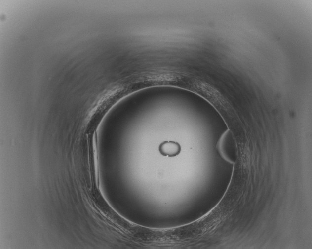 X0000068830731200605121340