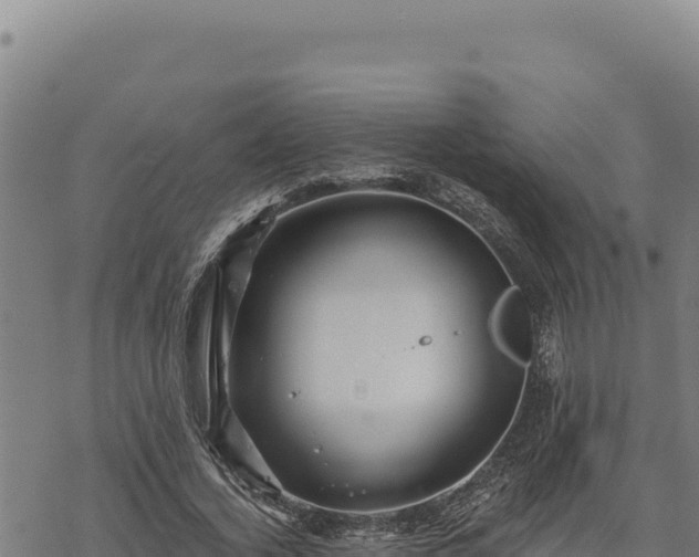 X0000068830732200605121340