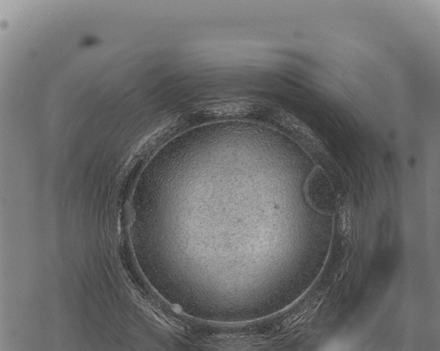 X0000068830733200605121340