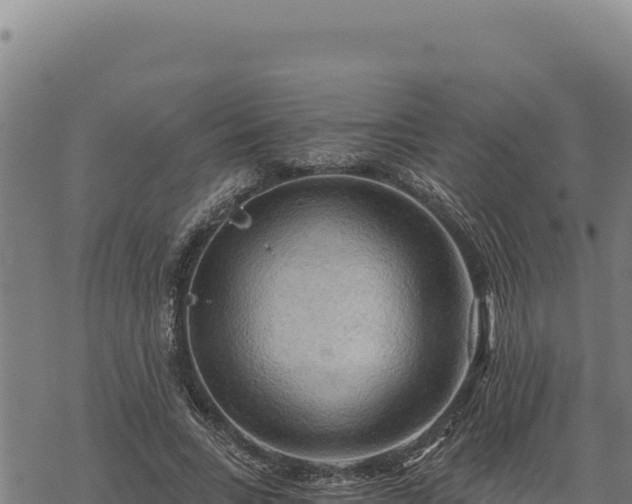 X0000068830735200605121340