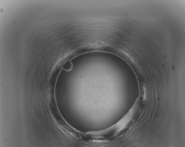 X0000068830736200605121340