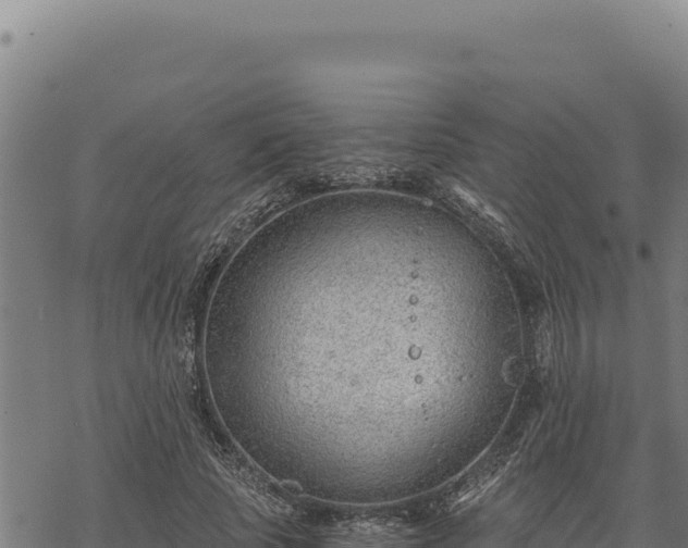 X0000068830737200605121340