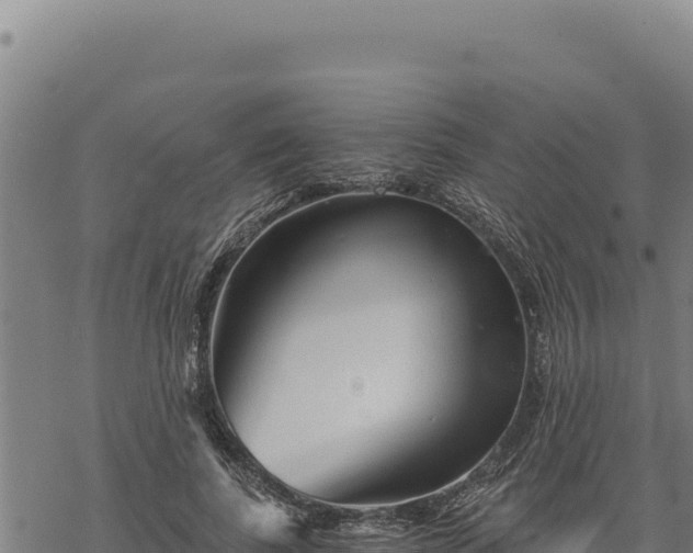 X0000068830739200605121341