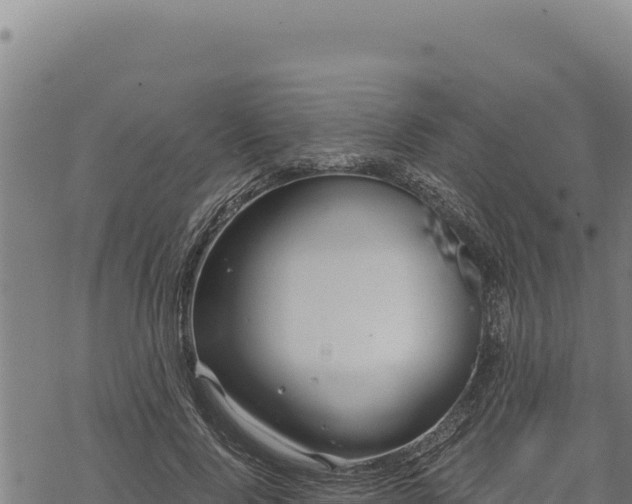 X0000068830740200605121341