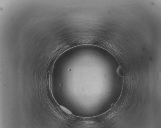 X0000068830741200605121341