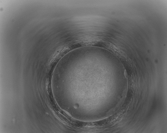 X0000068830742200605121341