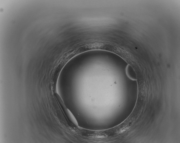 X0000068830743200605121341