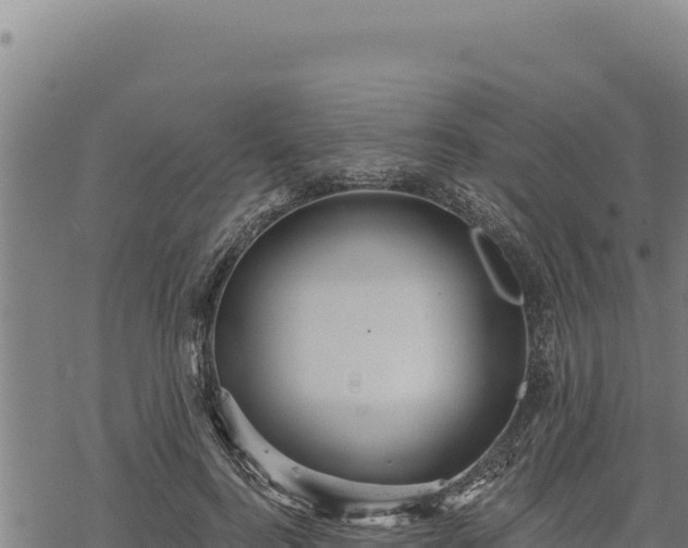 X0000068830744200605121341