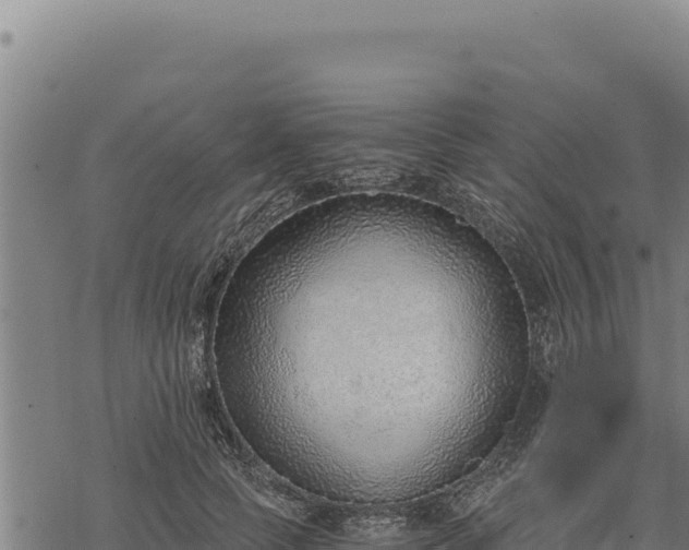 X0000068830745200605121341