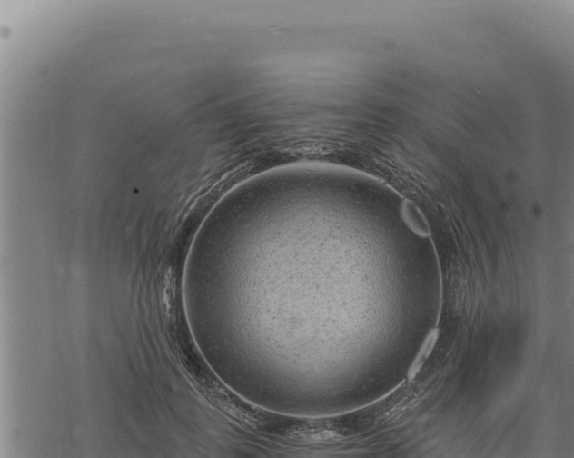 X0000068830747200605121341