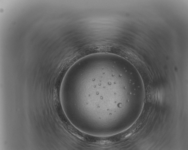 X0000068830748200605121341