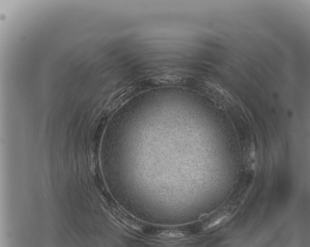 X0000068830749200605121341