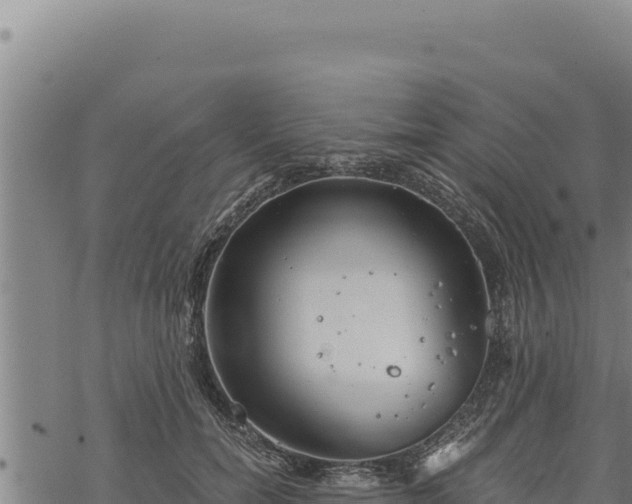 X0000068830750200605121341