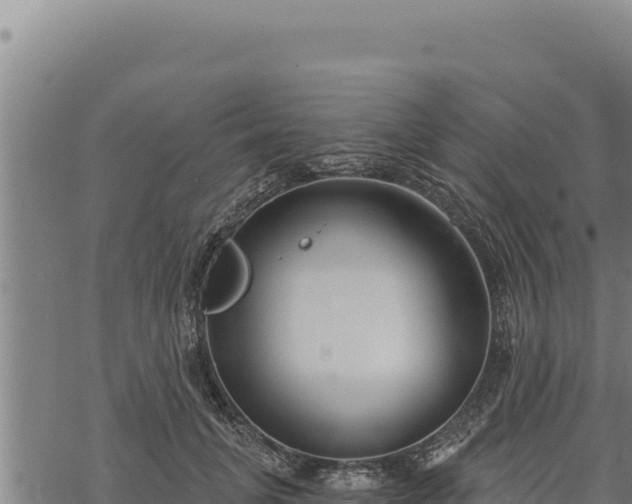 X0000068830751200605121341