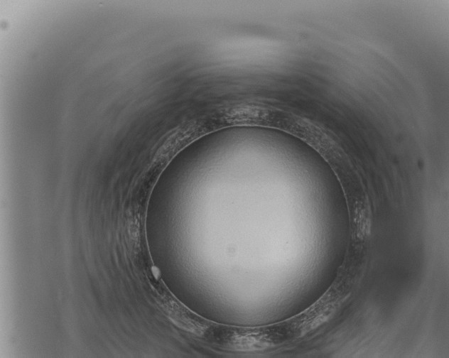 X0000068830753200605121341