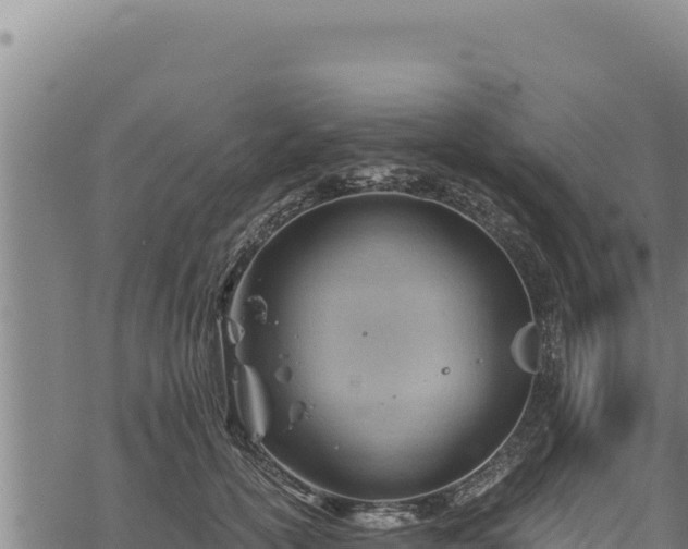 X0000068830754200605121341