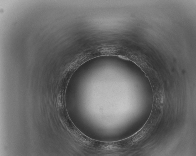 X0000068830755200605121341