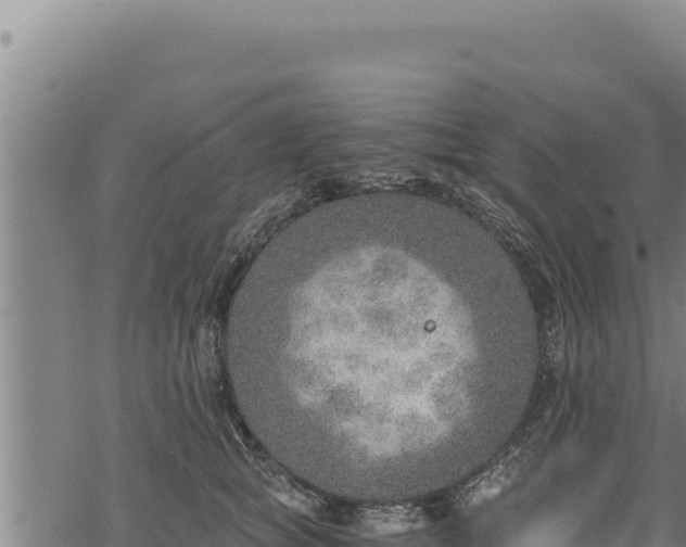 X0000068830757200605121341