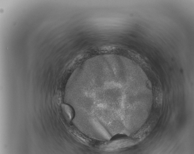 X0000068830758200605121341