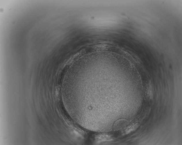 X0000068830759200605121341