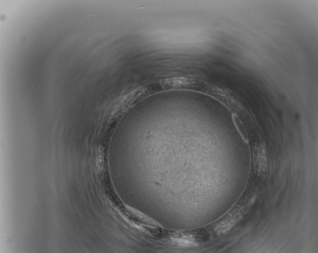 X0000068830760200605121341