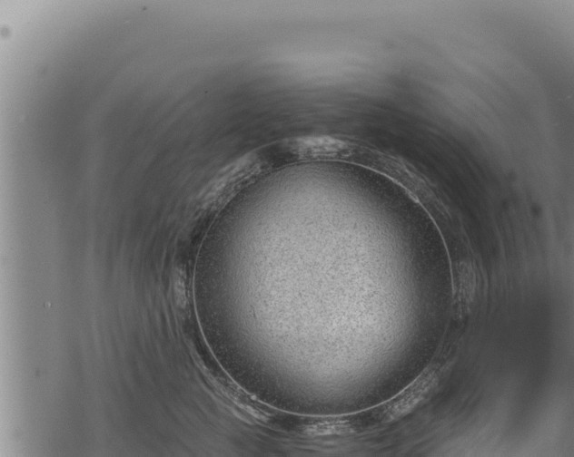 X0000068830761200605121341