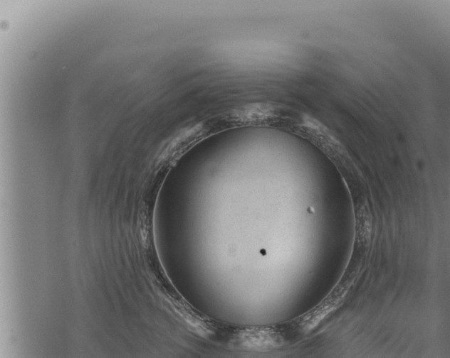 X0000068830762200605121341