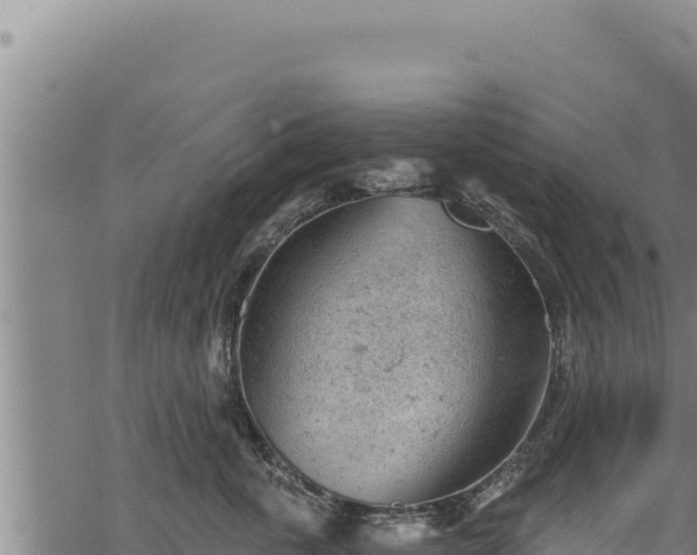 X0000068830763200605121341