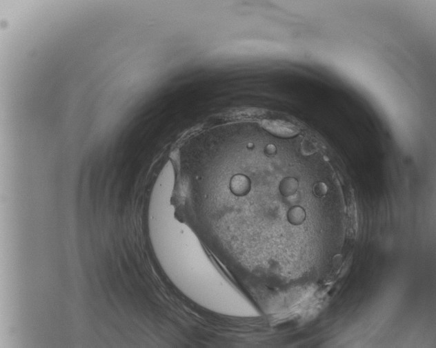 X0000068830765200605121341