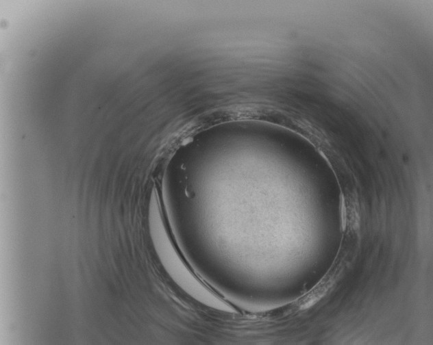 X0000068830766200605121341