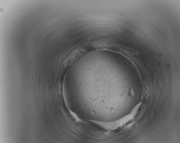 X0000068830767200605121341