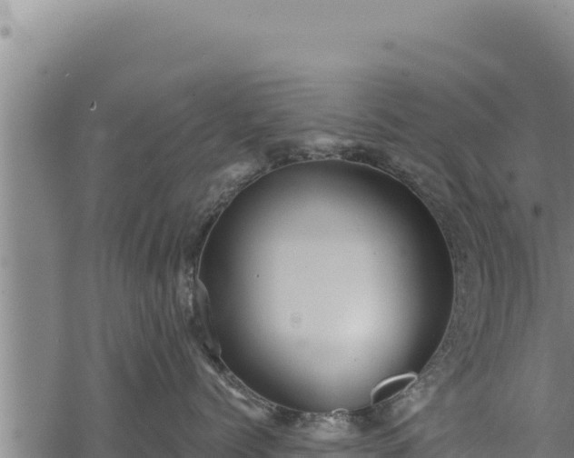 X0000068830768200605121341