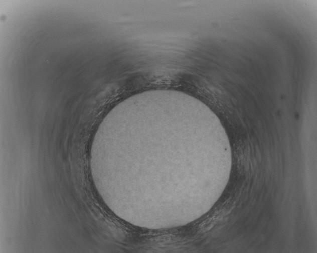 X0000068830769200605121340